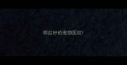 烟台好的宠物医院