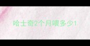 哈士奇2个月喂多少