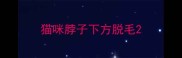 猫咪脖子下方脱毛