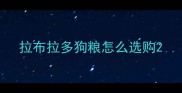 拉布拉多狗粮怎么选购