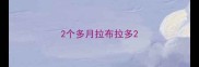2个多月拉布拉多