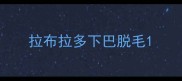 拉布拉多下巴脱毛