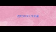 边牧幼犬2月食量