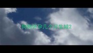 狗狗怀孕几个月生娃