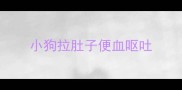 小狗拉肚子便血呕吐