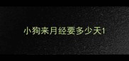 小狗来月经要多少天