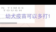 幼犬疫苗可以多打