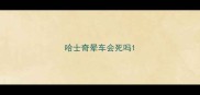 哈士奇晕车会死吗