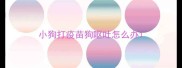 小狗打疫苗狗呕吐怎么办
