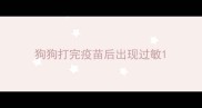 狗狗打完疫苗后出现过敏