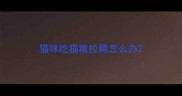 猫咪吃猫粮拉稀怎么办