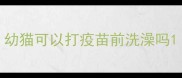 幼猫可以打疫苗前洗澡吗
