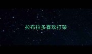 拉布拉多喜欢打架