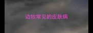 边牧常见的皮肤病