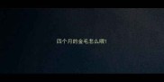 四个月的金毛怎么喂
