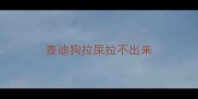 泰迪狗拉屎拉不出来