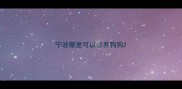 宁波哪里可以领养狗狗
