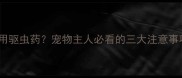 疫苗后24小时内服用驱虫药宠物主人必看的三大注意事项与科学应对指南