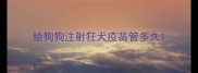 给狗狗注射狂犬疫苗管多久