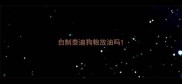 自制泰迪狗粮放油吗
