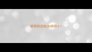 聪明的边牧为啥胆小