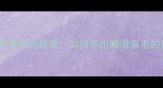 泰迪犬不卷毛的秘诀如何养出顺滑直毛的黄金法则