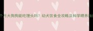 五个月大狗狗能吃馒头吗幼犬饮食全攻略及科学喂养指南