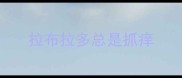 拉布拉多总是抓痒