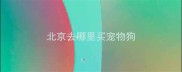 北京去哪里买宠物狗