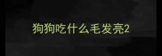 狗狗吃什么毛发亮