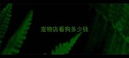 宠物店看狗多少钱