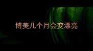 博美几个月会变漂亮