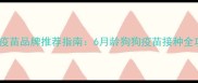 幼犬疫苗品牌推荐指南6月龄狗狗疫苗接种全攻略