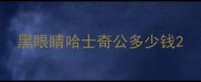 黑眼睛哈士奇公多少钱