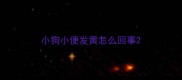 小狗小便发黄怎么回事