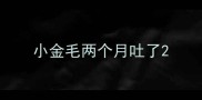 小金毛两个月吐了