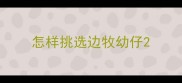 怎样挑选边牧幼仔