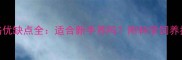 拉布拉多性格优缺点全适合新手养吗附科学饲养指南最新