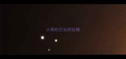 小狗吃打虫药拉稀