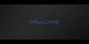 加菲猫咪正常体重