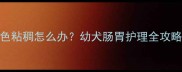边牧幼犬拉稀黄色粘稠怎么办幼犬肠胃护理全攻略及紧急处理措施