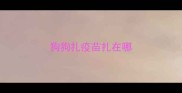 狗狗扎疫苗扎在哪