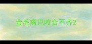 金毛嘴巴咬合不齐