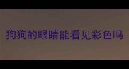 狗狗的眼睛能看见彩色吗