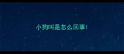 小狗叫是怎么回事