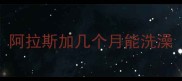阿拉斯加几个月能洗澡