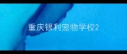 重庆银利宠物学校