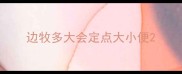 边牧多大会定点大小便