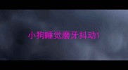 小狗睡觉磨牙抖动