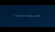拉布拉多中毒怎么急救
